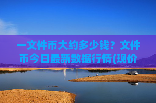 一文件币大约多少钱？文件币今日最新数据行情(现价56.5044元)