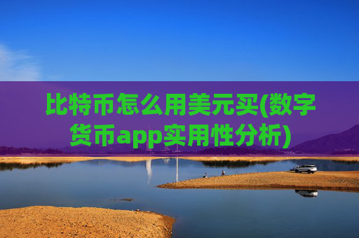 比特币怎么用美元买(数字货币app实用性分析)