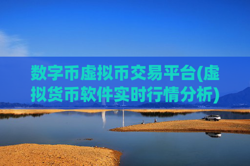 数字币虚拟币交易平台(虚拟货币软件实时行情分析)