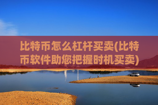比特币怎么杠杆买卖(比特币软件助您把握时机买卖)