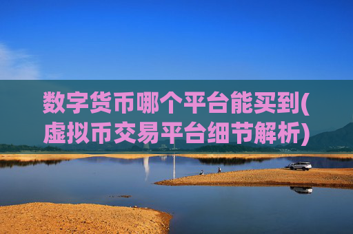 数字货币哪个平台能买到(虚拟币交易平台细节解析)