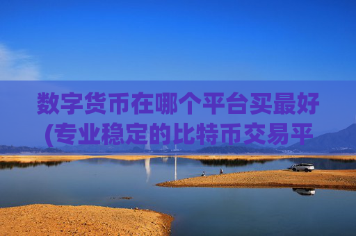 数字货币在哪个平台买最好(专业稳定的比特币交易平台)