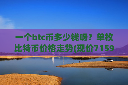 一个btc币多少钱呀？单枚比特币价格走势(现价715955.36元)