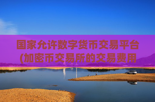 国家允许数字货币交易平台(加密币交易所的交易费用)
