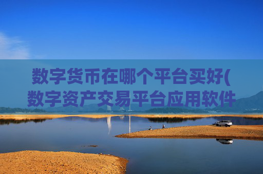 数字货币在哪个平台买好(数字资产交易平台应用软件)