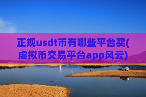 正规usdt币有哪些平台买(虚拟币交易平台app风云)