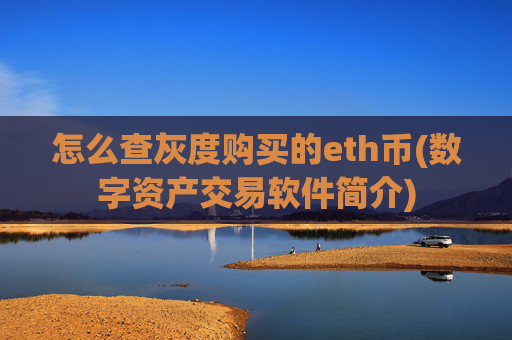 怎么查灰度购买的eth币(数字资产交易软件简介)