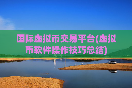国际虚拟币交易平台(虚拟币软件操作技巧总结)