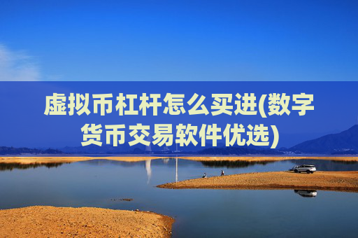 虚拟币杠杆怎么买进(数字货币交易软件优选)