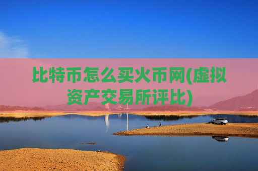 比特币怎么买火币网(虚拟资产交易所评比)