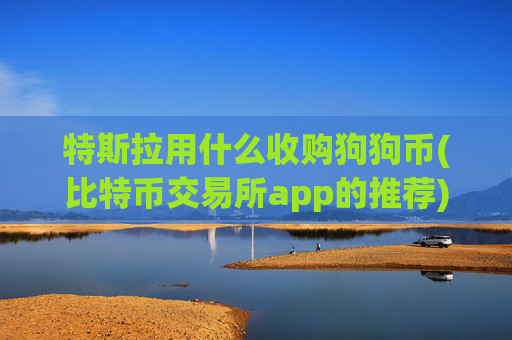 特斯拉用什么收购狗狗币(比特币交易所app的推荐)