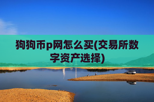 狗狗币p网怎么买(交易所数字资产选择)