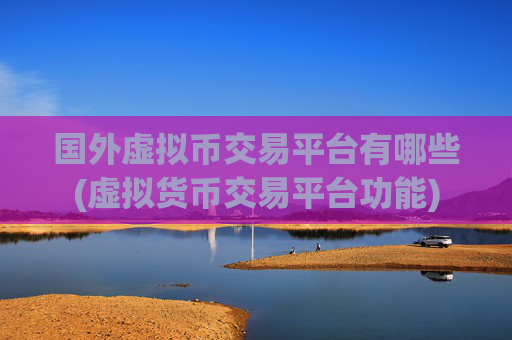 国外虚拟币交易平台有哪些(虚拟货币交易平台功能)