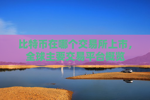 比特币在哪个交易所上市，全球主要交易平台概览