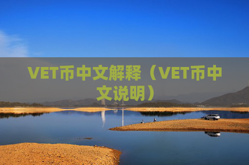 VET币中文解释（VET币中文说明）