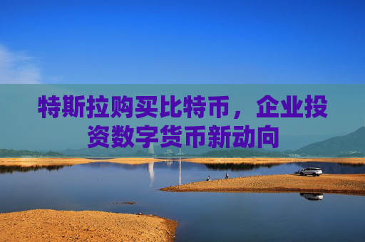 特斯拉购买比特币，企业投资数字货币新动向