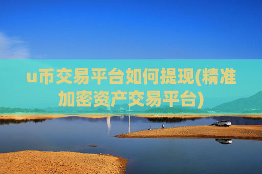 u币交易平台如何提现(精准加密资产交易平台)