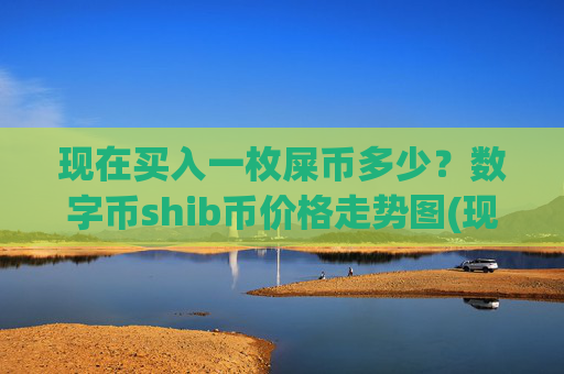 现在买入一枚屎币多少？数字币shib币价格走势图(现价0.0001615元)