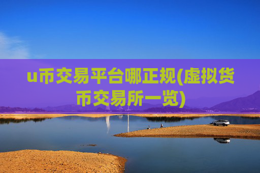 u币交易平台哪正规(虚拟货币交易所一览)