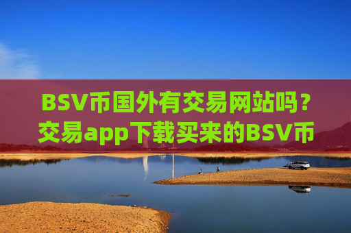 BSV币国外有交易网站吗？交易app下载买来的BSV币