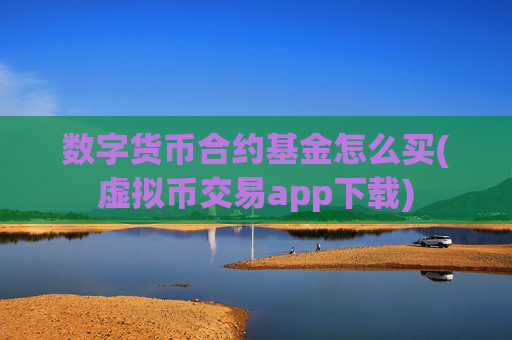 数字货币合约基金怎么买(虚拟币交易app下载)