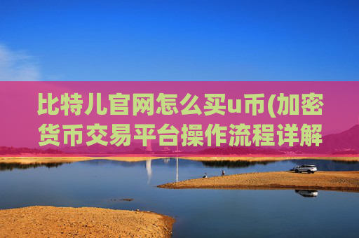 比特儿官网怎么买u币(加密货币交易平台操作流程详解)