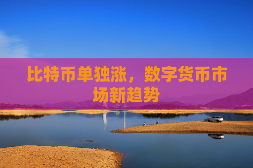 比特币单独涨，数字货币市场新趋势