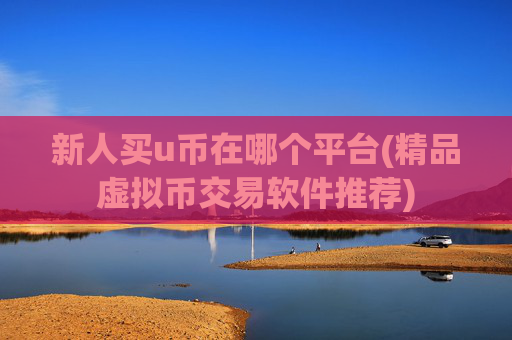 新人买u币在哪个平台(精品虚拟币交易软件推荐)