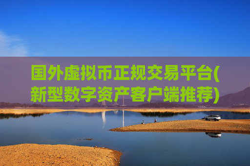 国外虚拟币正规交易平台(新型数字资产客户端推荐)