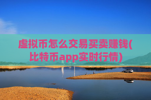 虚拟币怎么交易买卖赚钱(比特币app实时行情)