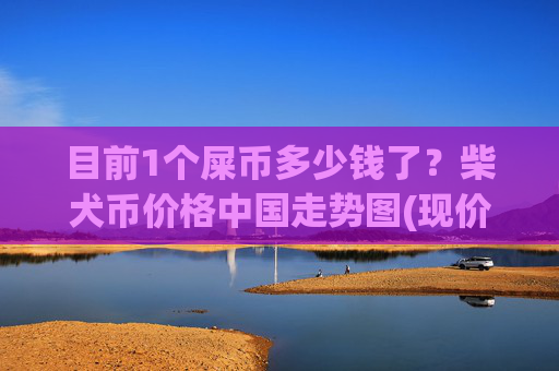 目前1个屎币多少钱了？柴犬币价格中国走势图(现价0.00022486元)