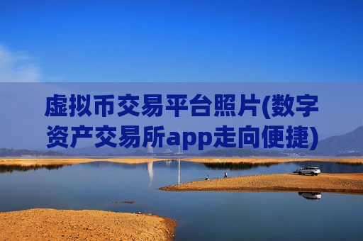 虚拟币交易平台照片(数字资产交易所app走向便捷)