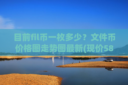 目前fil币一枚多少？文件币价格图走势图最新(现价58.9129元)