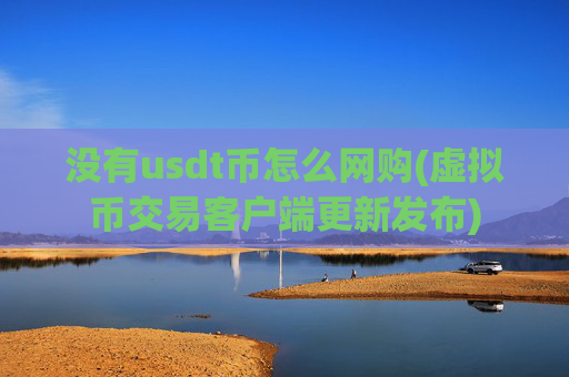没有usdt币怎么网购(虚拟币交易客户端更新发布)