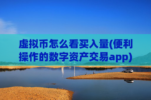 虚拟币怎么看买入量(便利操作的数字资产交易app)
