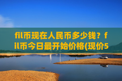 fil币现在人民币多少钱？fil币今日最开始价格(现价57.4652元)
