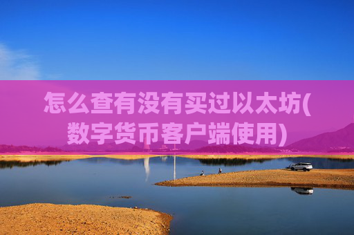 怎么查有没有买过以太坊(数字货币客户端使用)