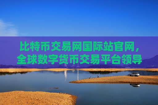 比特币交易网国际站官网，全球数字货币交易平台领导者