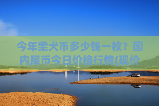 今年柴犬币多少钱一枚？国内屎币今日价格行情(现价0.00016026元)
