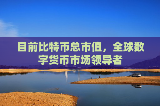 目前比特币总市值，全球数字货币市场领导者