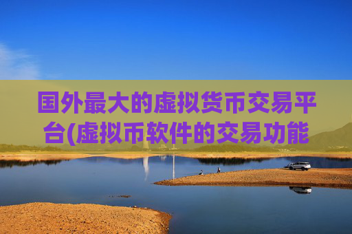 国外最大的虚拟货币交易平台(虚拟币软件的交易功能)