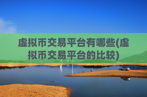 虚拟币交易平台有哪些(虚拟币交易平台的比较)