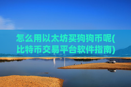 怎么用以太坊买狗狗币呢(比特币交易平台软件指南)