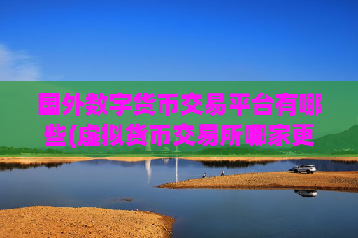 国外数字货币交易平台有哪些(虚拟货币交易所哪家更靠谱)