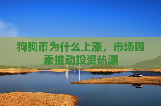 狗狗币为什么上涨，市场因素推动投资热潮