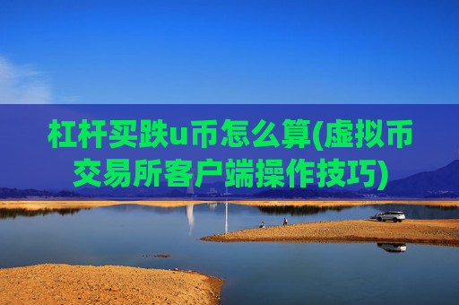 杠杆买跌u币怎么算(虚拟币交易所客户端操作技巧)