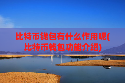 比特币钱包有什么作用呢(比特币钱包功能介绍)