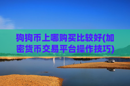 狗狗币上哪购买比较好(加密货币交易平台操作技巧)