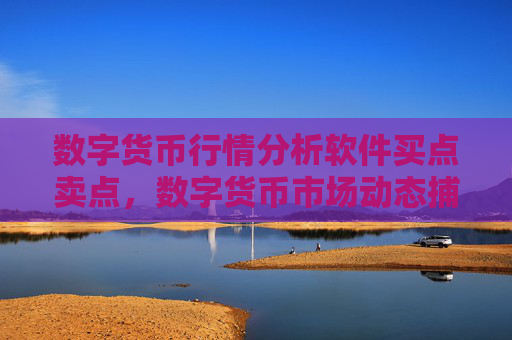 数字货币行情分析软件买点卖点，数字货币市场动态捕捉 精准买卖信号