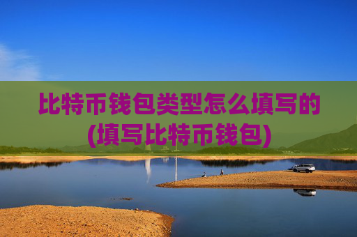 比特币钱包类型怎么填写的(填写比特币钱包)